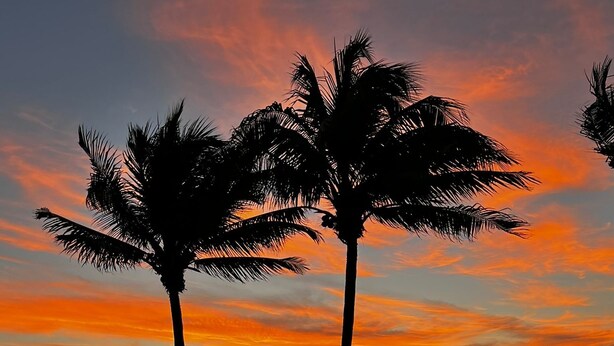 Zonsondergang met palmbomen en een zwembad.