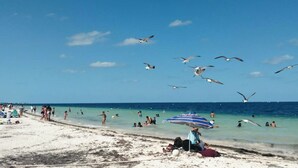 Een strand met mensen die zwemmen en over het strand lopen, een blauw-wit gestreepte parasol, en meeuwen die boven het strand vliegen.