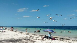 Plage, chaises longues, serviettes de plage
