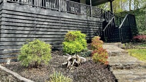 A wooden house with a porch, an American flag, and a small garden with shrubs and a tree stump. - Quaint, Spacious, And Minutes From Everything You Want To See In Chattanooga (Chattanooga)