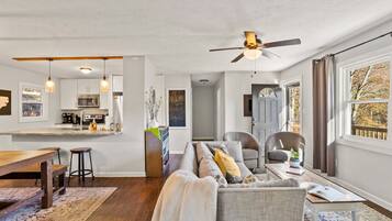 Smart TV, fireplace, books