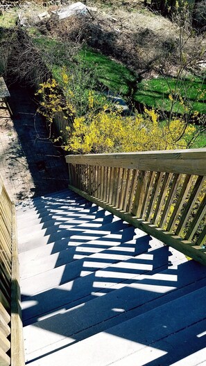 Property grounds - Large Brighton area studio  (Brighton)