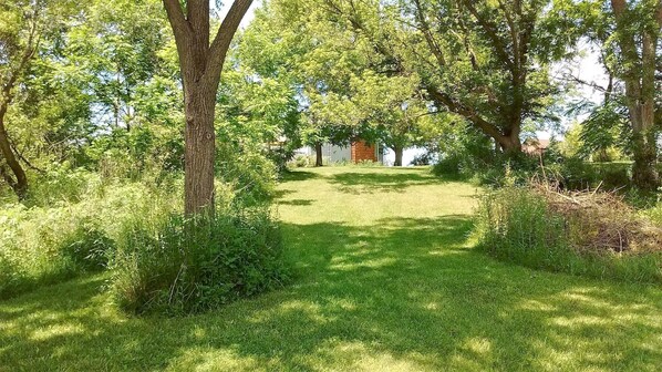 Property grounds - Private river in the back yard (Wilkesport)