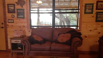 Smart TV, DVD player, books, video library