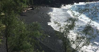 Tropical Tree Guest House near Pahoa, Hawaii