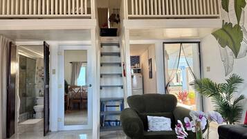 TV, books, music library, stereo