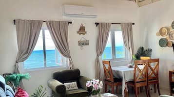 TV, books, music library, stereo