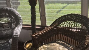 Una silla de mimbre y una mesita con una planta junto a una ventana que da a un espacio verde.