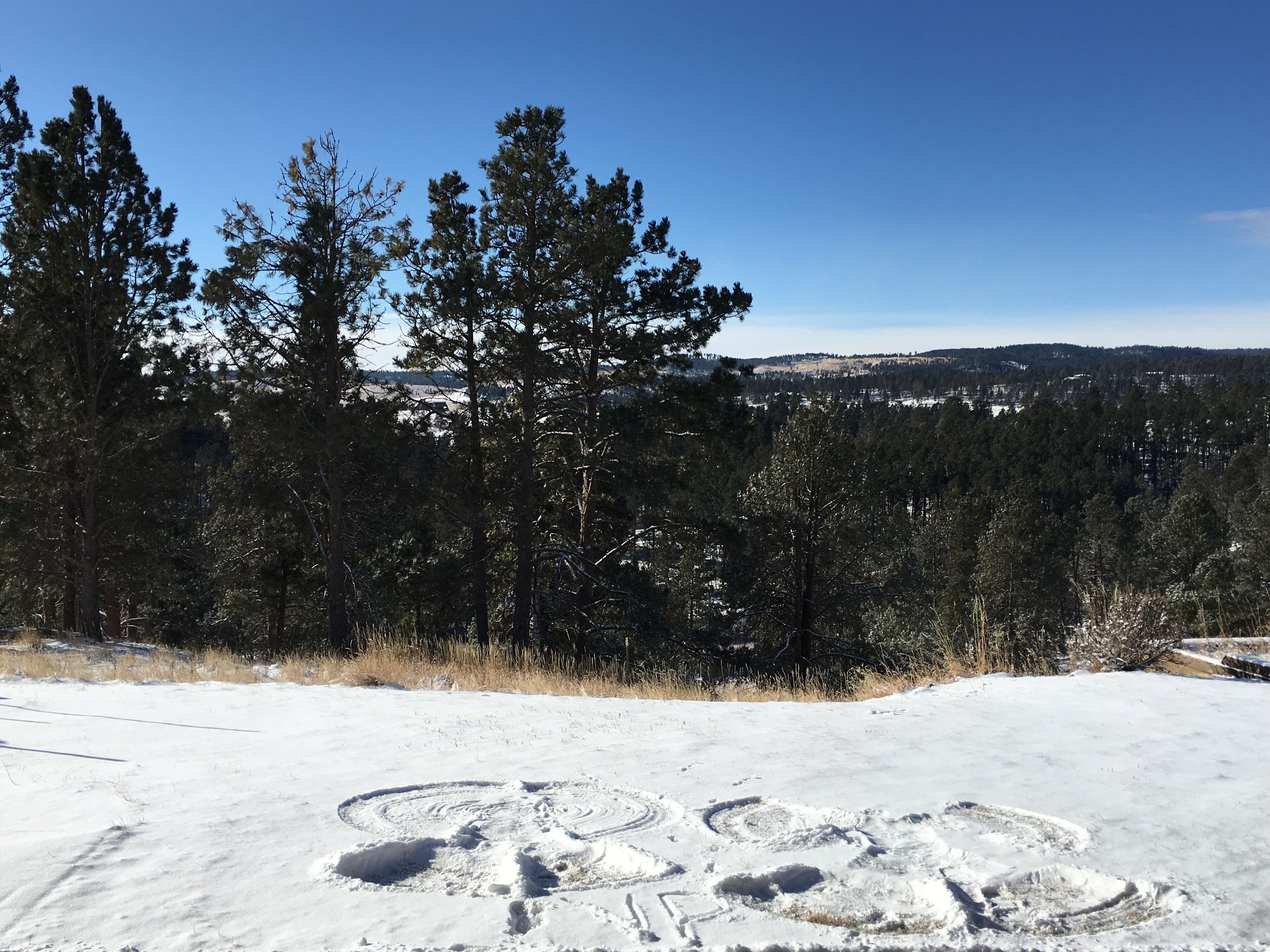 Un paysage enneigé, avec un ciel dégagé, une forêt dense et une vue lointaine sur une ville.