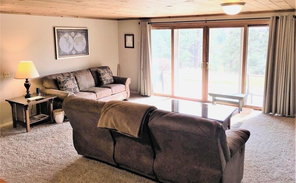 スマートテレビ、暖炉、DVD プレーヤー、書庫