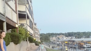 A waterfront walkway with a dog and a person walking.