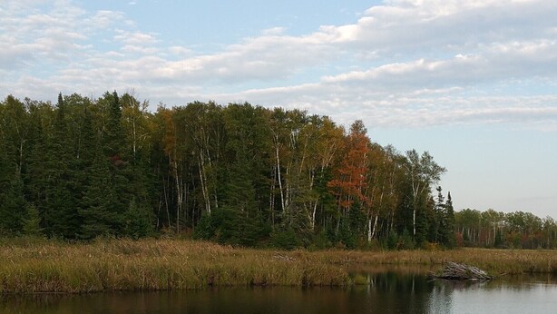 A calm lake reflecting the sky and trees. - Rustic Two Level Tree Lodge Surrounded By The Forest With Fireplace And Fire Pit (McGrath)