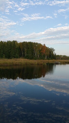 Rustic Two Level Tree Lodge Surrounded By The Forest With Fireplace And Fire Pit