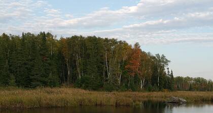 Rustic Two Level Tree Lodge Surrounded By The Forest With Fireplace And Fire Pit