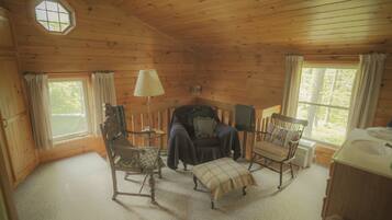 Fireplace, DVD player, books