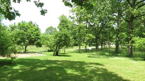 A grassy park area with trees and a fenced area.