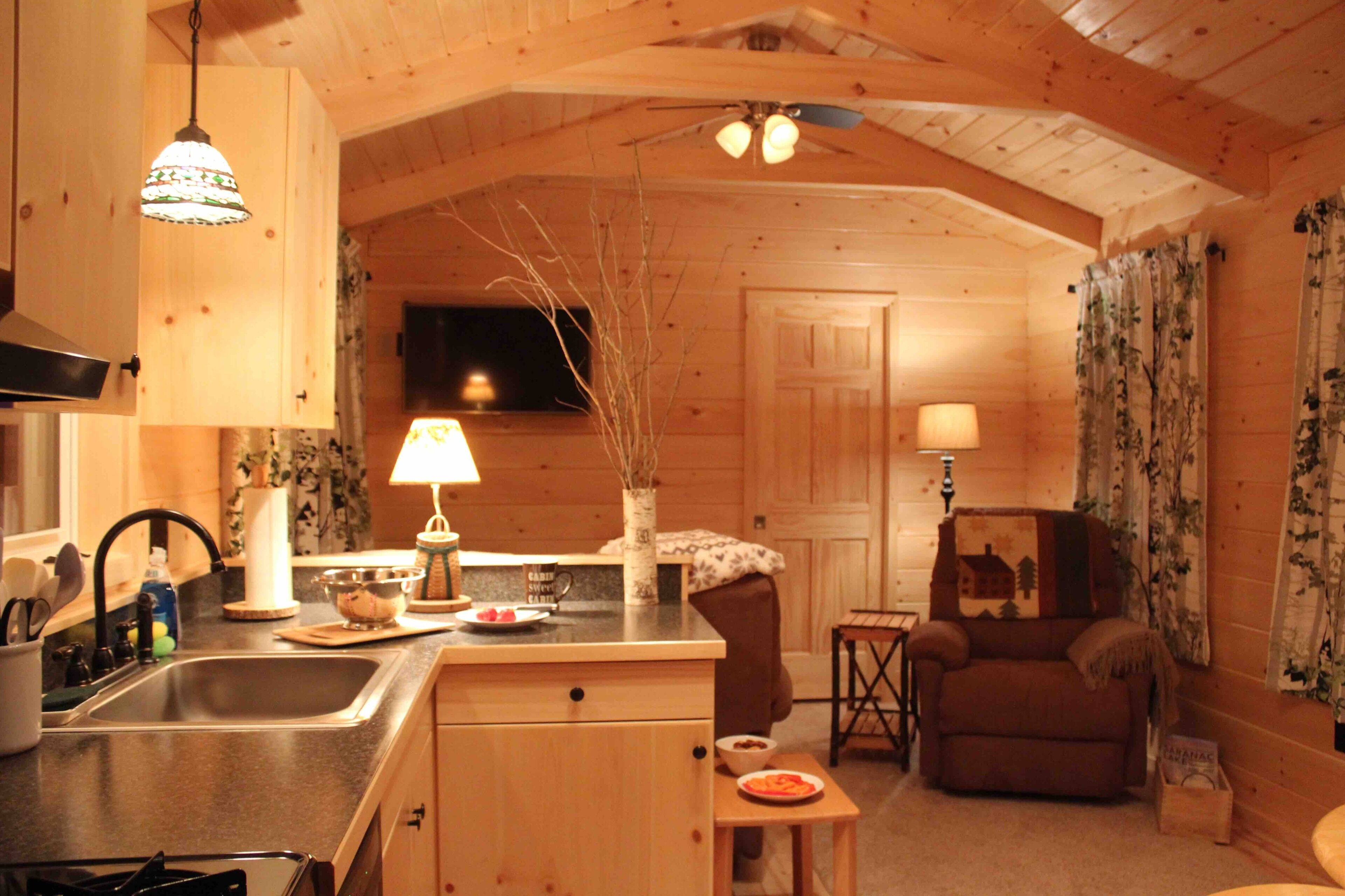 Romantic Adirondack Cabin with Gorgeous Lake  and Mountain Views