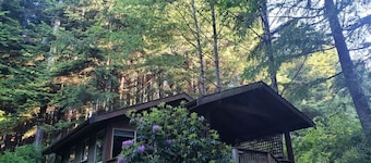 Retreat Cabin with Private Hot Tub