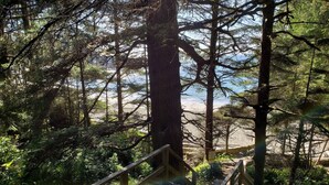 A wooden staircase leading to a beach, surrounded by dense forest. - Salal Cabin by Evergreen Forest Cabins (Ucluelet)
