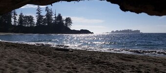 Evergreen Rainforest Retreat - Salal