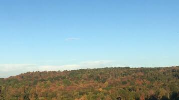 A forested hill with a clear sky.
