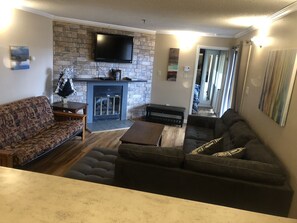 TV, fireplace, DVD player