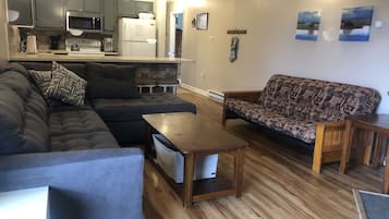 TV, fireplace, DVD player