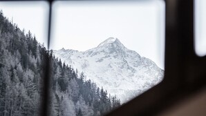 A mountain through a window with a grid pattern. - A CASA Smaragd (Soelden)
