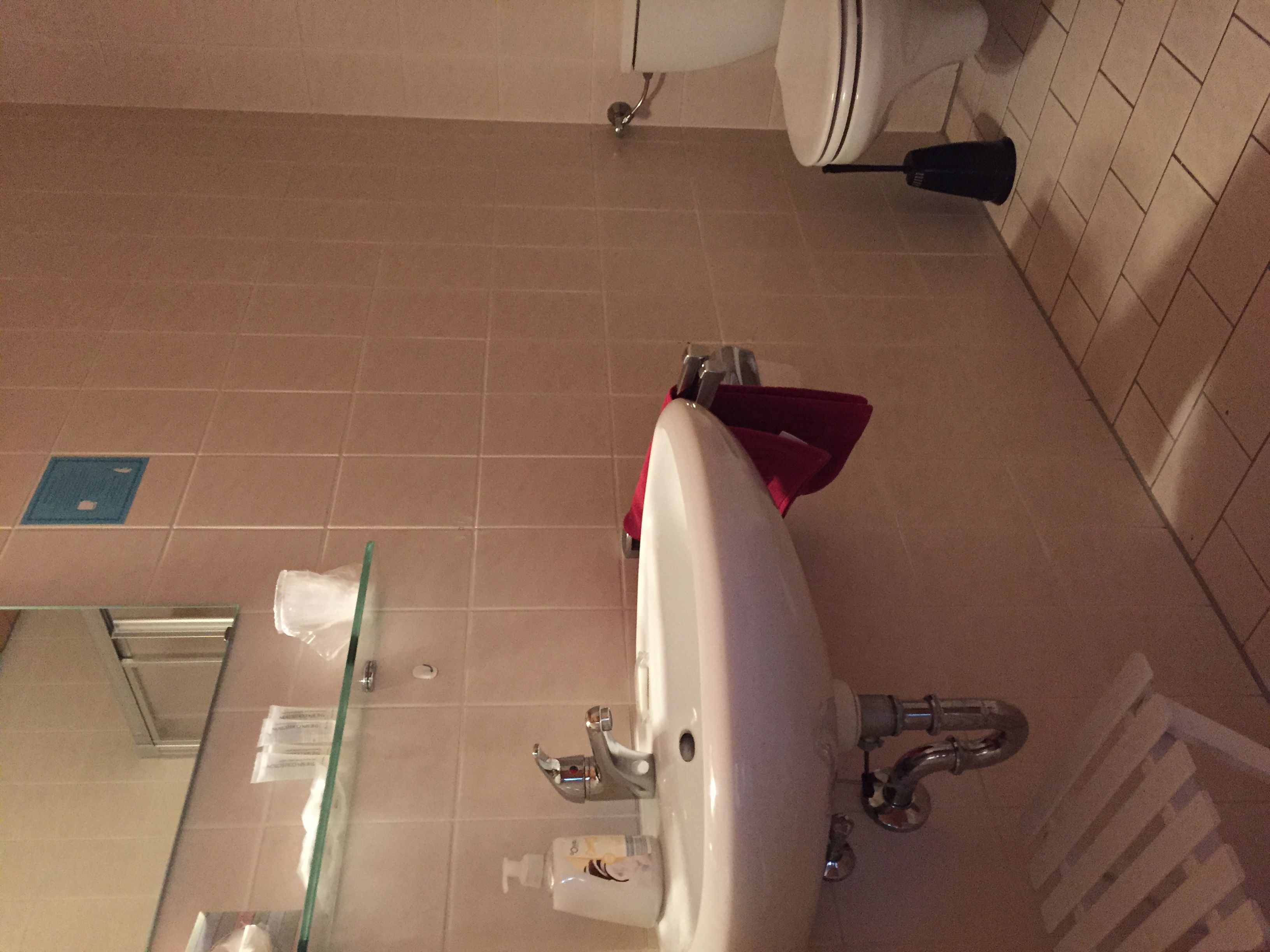 Ein Badezimmer mit einem weißen Waschbecken, einem Spiegel, einer Duschkabine aus Glas und einer Toilette.