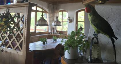 Alte Rose Gasthaus Hotel