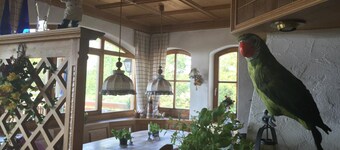 Alte Rose Gasthaus Hotel