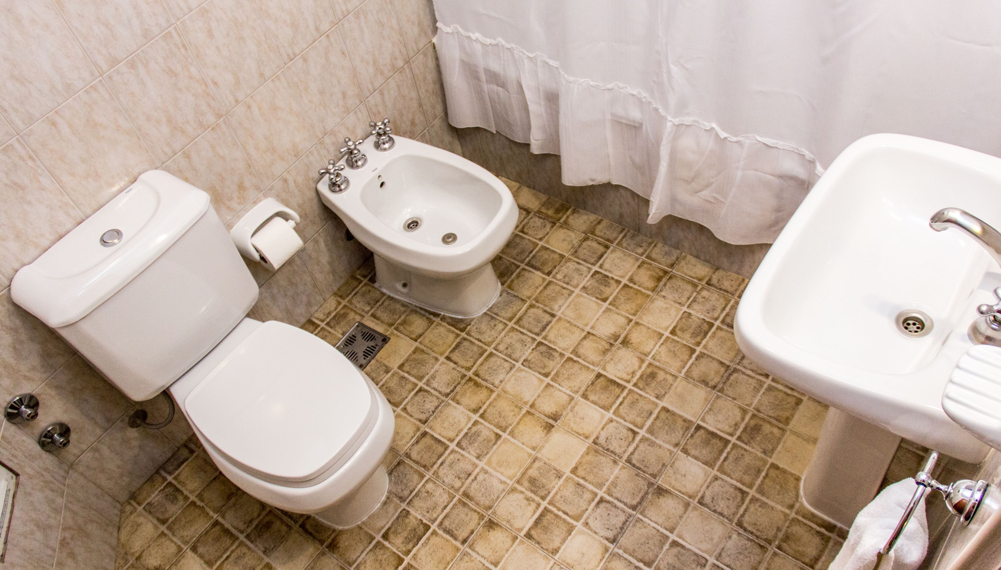 combined shower/bathtub, free toiletries, hair dryer, bidet