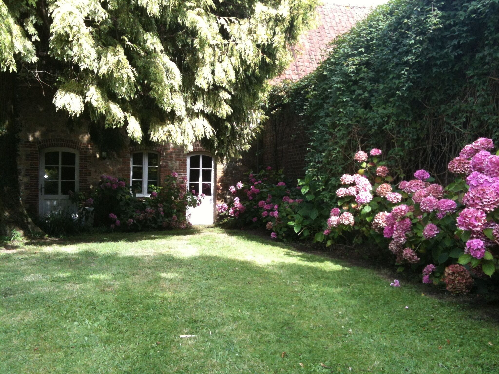 Parco della struttura