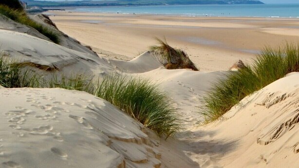 A beach with sand dunes and a clear sky. - cottage in the park of a castle(manor) (Wierre-Au-Bois)
