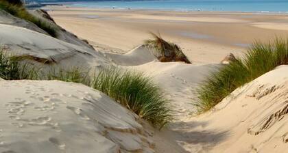 cottage in the park of a castle(manor)