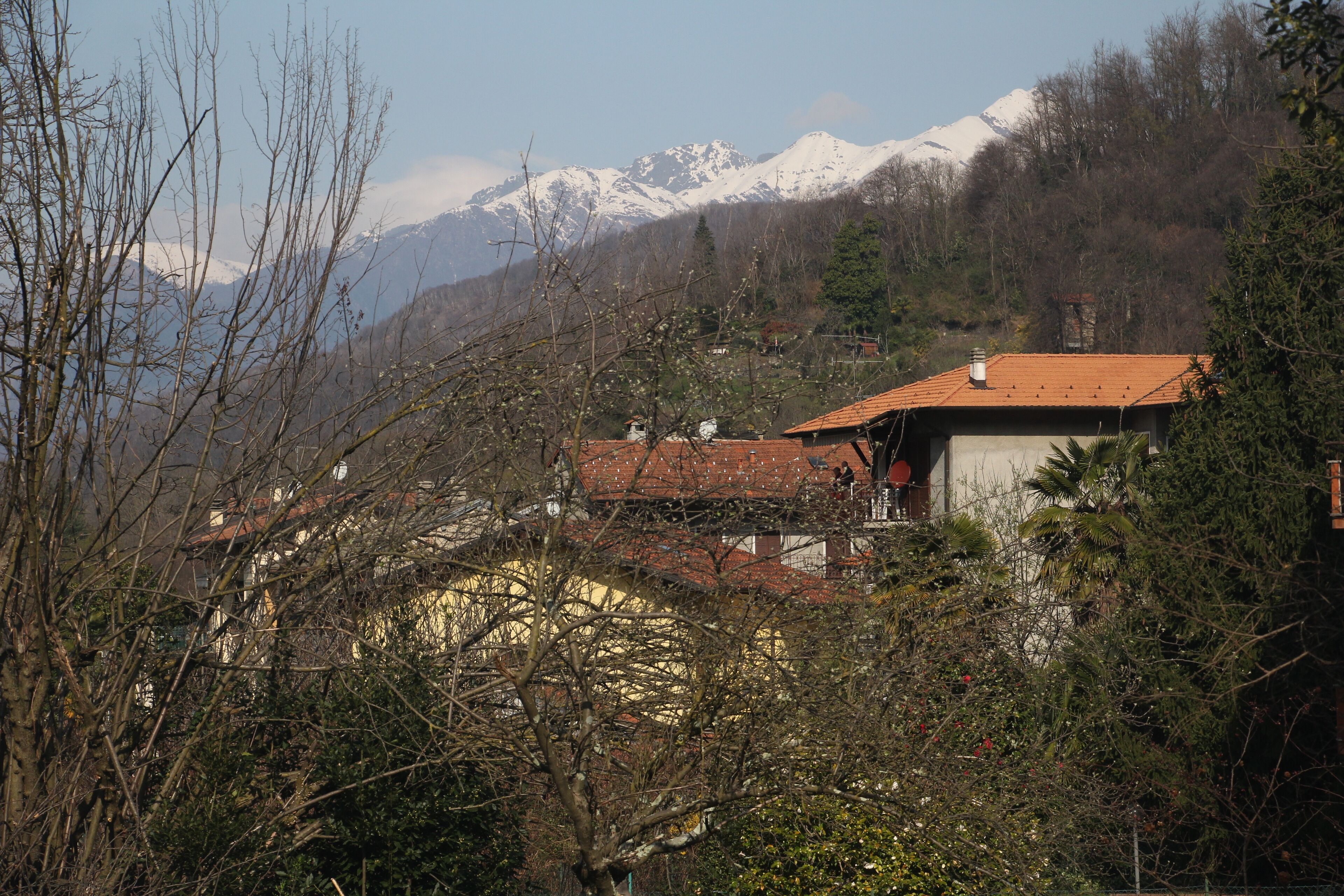 View from terrace in March