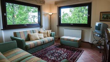 TV, DVD player, table tennis, stereo