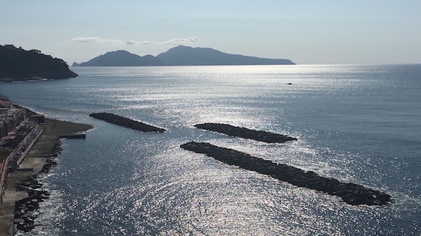 Ubicación a pie de playa, tumbonas y toallas de playa