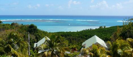Vue sur la plage/l’océan