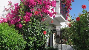 Un bâtiment orné de bougainvilliers roses qui grimpent le long des murs extérieurs, une porte en métal noir et, en arrière-plan, un ciel bleu clair.