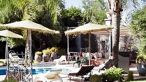 Zona de piscina con sillones de descanso y sombrillas, rodeada de palmeras y plantas en macetas.