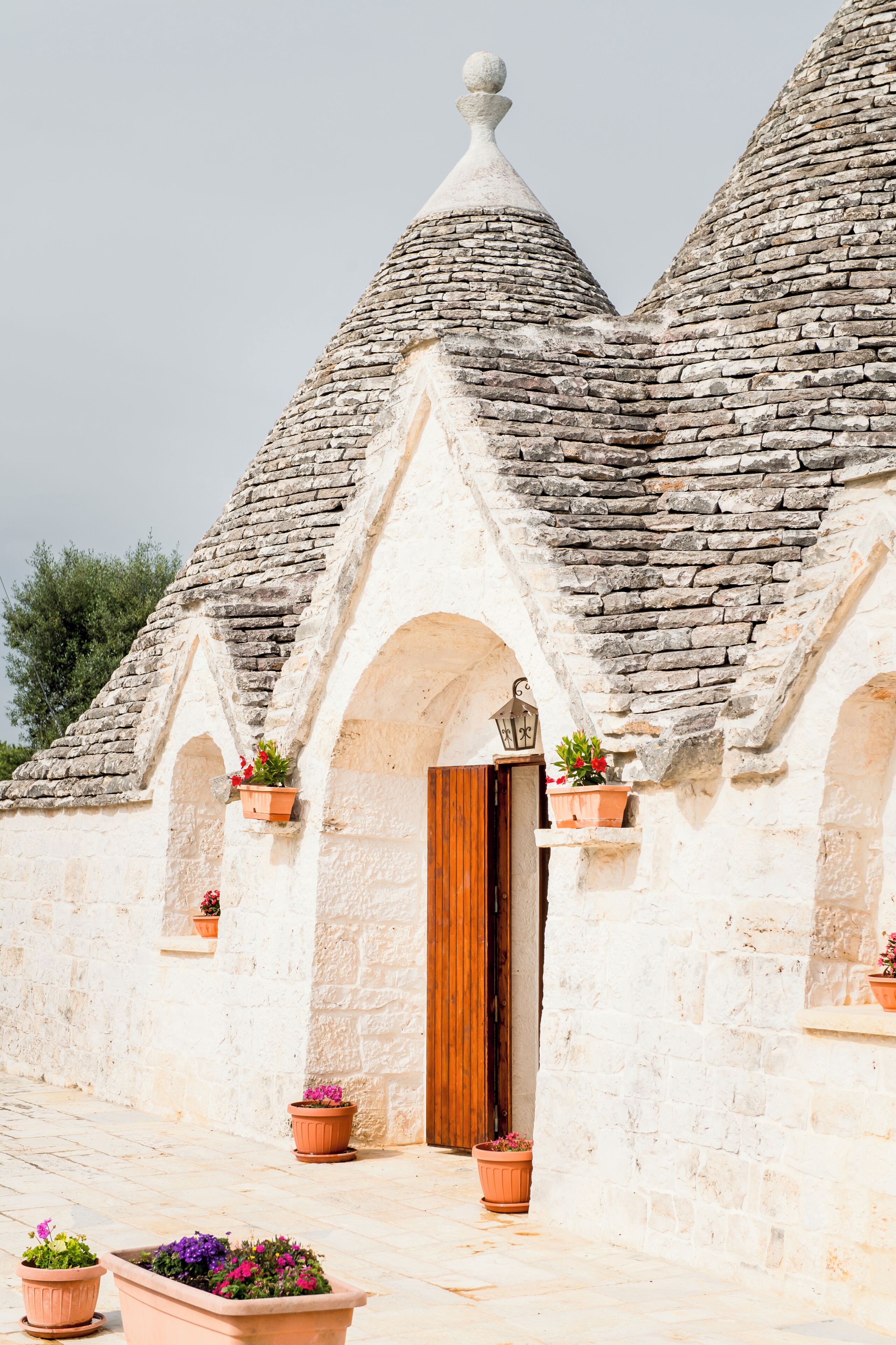 A building with a stone facade, a wooden door, and multiple flower pots.