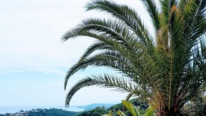 Zona de piscina con vista al mar, rodeada de palmeras y un muro de piedra.