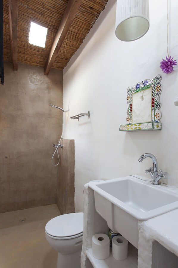 Un baño con ducha, inodoro, lavamanos y un espejo decorativo.