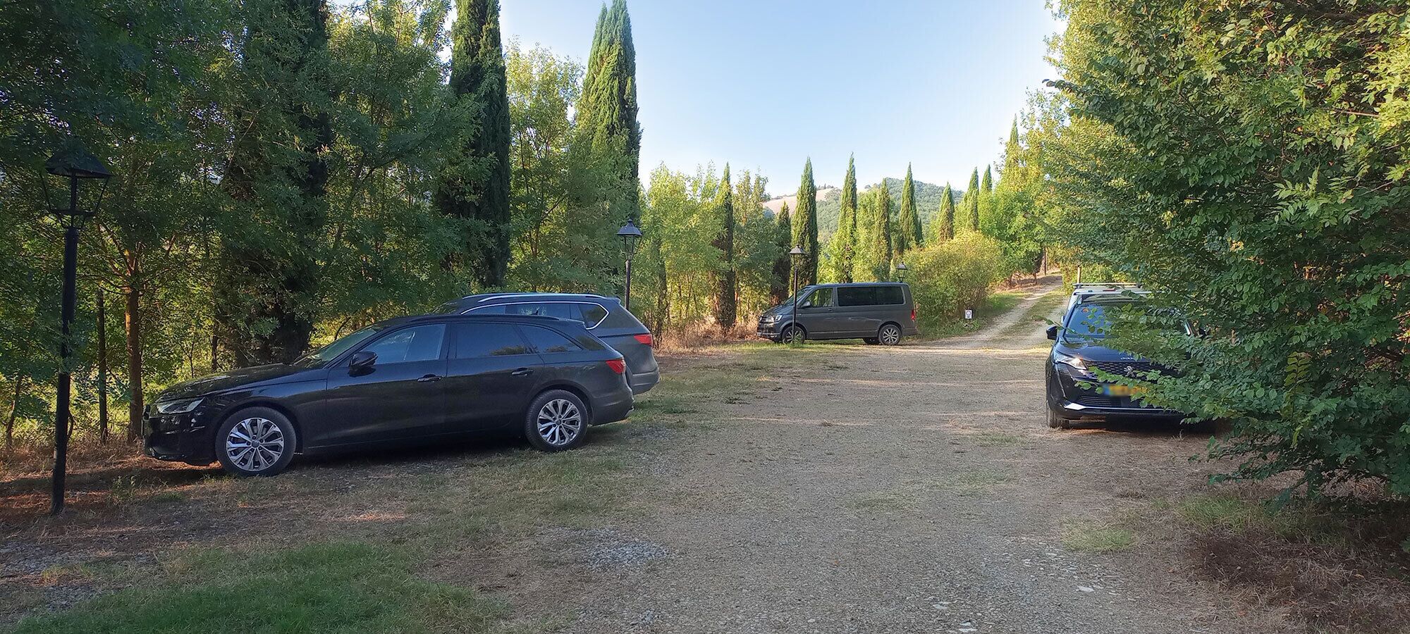 Ein Schotterweg mit parkenden Autos und hohen Bäumen an beiden Seiten.