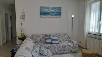 TV, DVD player, books