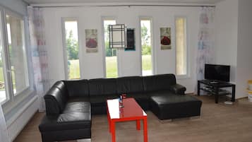 Smart TV, chimenea, reproductor de DVD y videoteca
