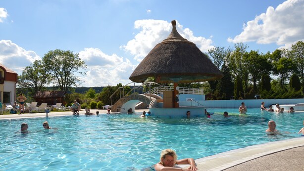 A swimming pool with a thatched-roof structure, surrounded by lounge chairs and trees.