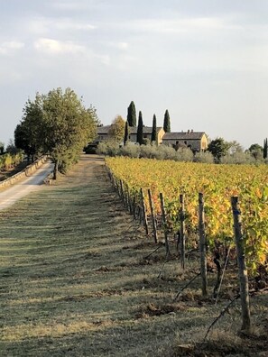 Imagen sin descripción, 4 de 57, botón