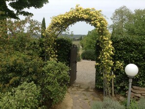 Property grounds - Charming house in historical Chianti Estate (San Gusme)